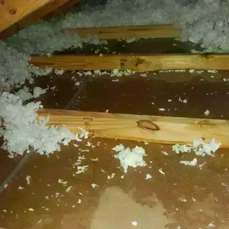 Attic Water Damage in Kaufman County, TX