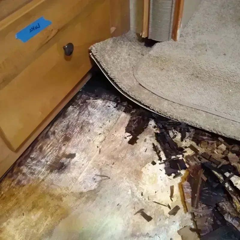 Wood Floor Water Damage in Kaufman County, TX